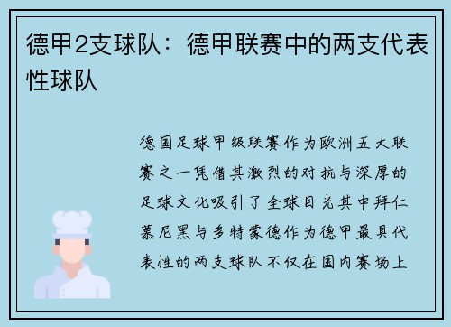 德甲2支球队：德甲联赛中的两支代表性球队